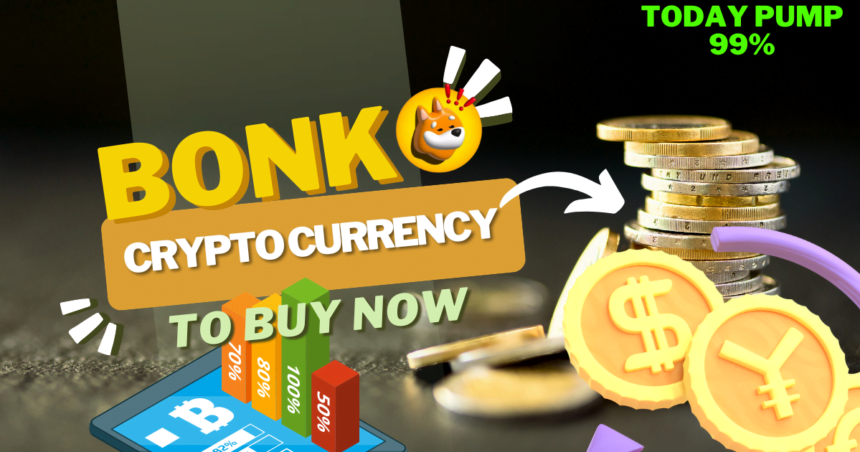 bonk crypto