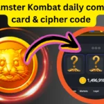 Hamster Kombat daily cipher code 27 August